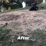 After removal of tree && stump