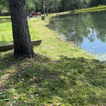 weedeating around pond