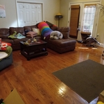Housecleaning Project