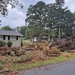 Tree Service Project
