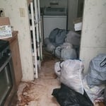 Nothing but trash filled the laundry room & started heading out to kitchen.