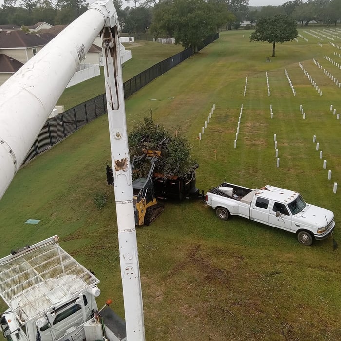 Biloxi National Cemetery Oak Tree Removal
