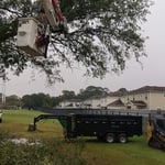 Biloxi National Cemetery Oak Tree Removal