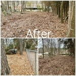 Tree Service Project