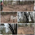 Tree Service Project