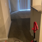 Housecleaning Project