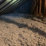 Pest infused insulation