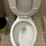 Housecleaning Project
