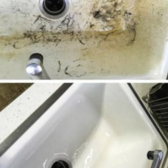 Housecleaning Project