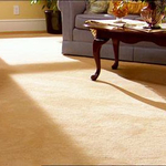 Carpet Cleaning
