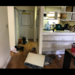The before pic