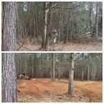 Open up back yard to access more of property