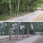 Brush clearing, forestry mulching. And grading
