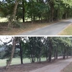 Brush clearing, forestry mulching. And grading