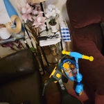 Housecleaning Project