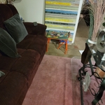 Housecleaning Project