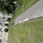 Pressure Washing Project
