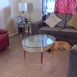 Housecleaning & Landscaping Project