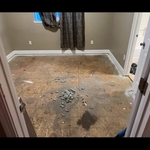 Carpet demo