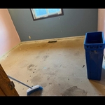 Old hardwood floor demo