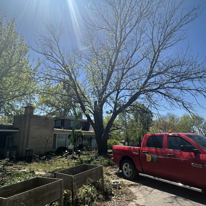 Additional Photos