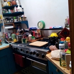 Housecleaning Project