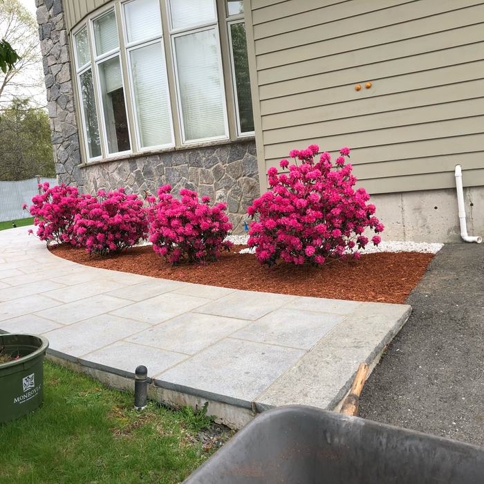 Additional Photos