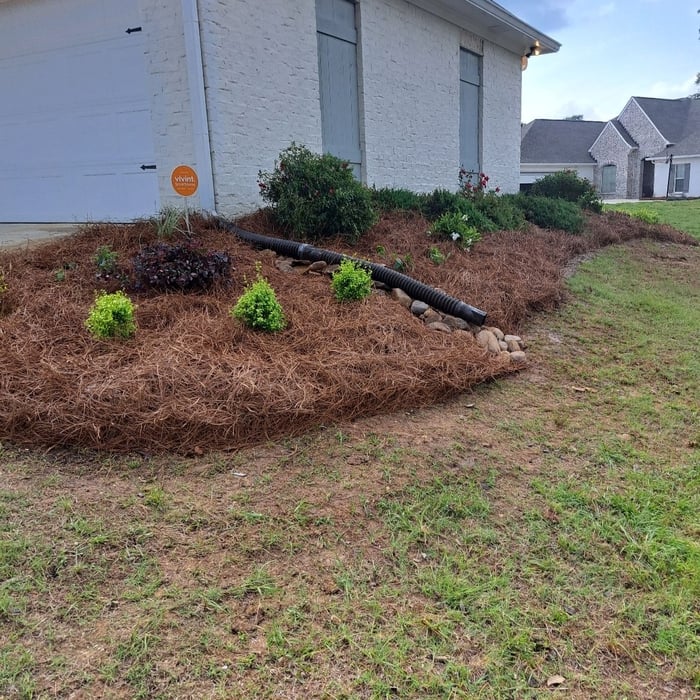Additional Photos
