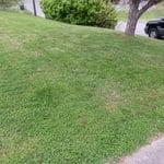 Lawncare