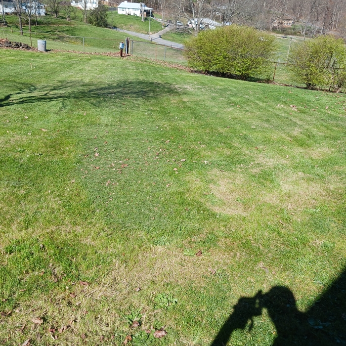 First mow of the year on this property.