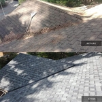 Family Cabin Re-Roofing
