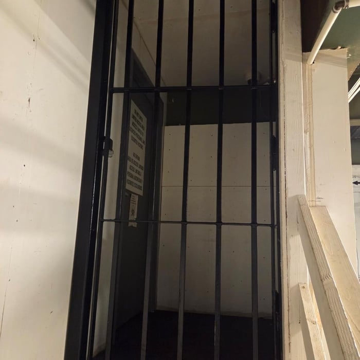 Security door