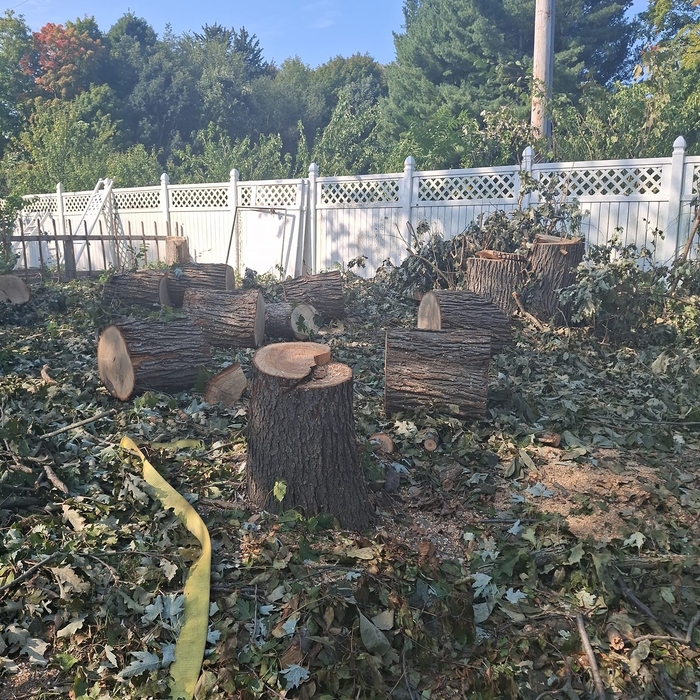 Additional Photos