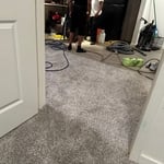 Carpet Cleaning Project