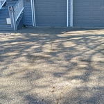 Surface Cleaning- Driveway & Sidewalk