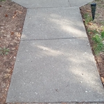 Pressure Washing - Walkway