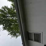 Gutter Cleaning Project