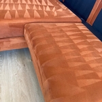 Carpet Cleaning Project
