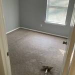 Carpet Cleaning Project