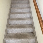 Carpet Cleaning Project