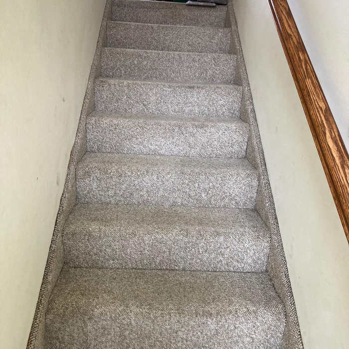 Carpet Cleaning Project
