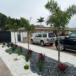Additional Photos