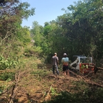Tree Service Project