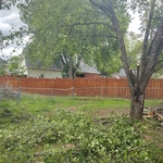 Tree Service Project