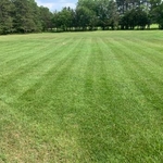 Lawn fertilizer