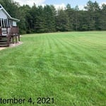 Lawn fertilizer