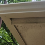 Pressure Washing Project