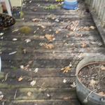 Deck restoration