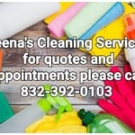 Housecleaning Project