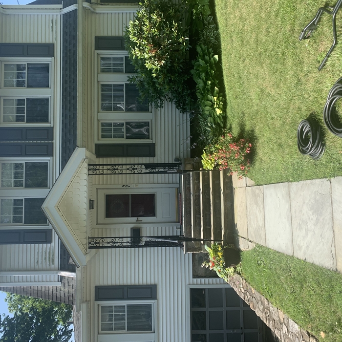 Pressure Washing Project